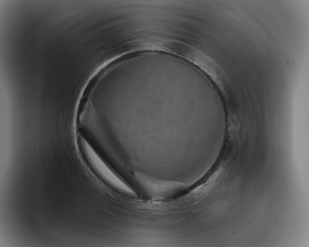 X0000093471028200710121421