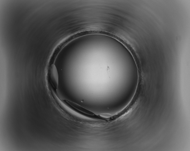 X0000093471029200710121421