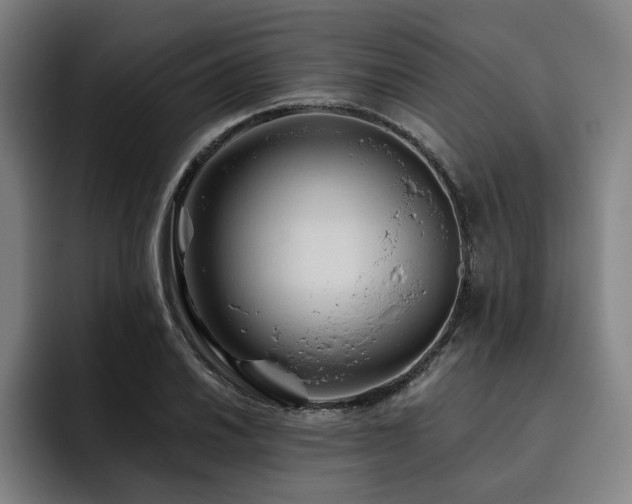 X0000093471030200710121421