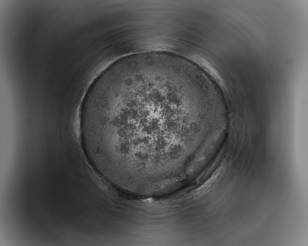 X0000093471031200710121421