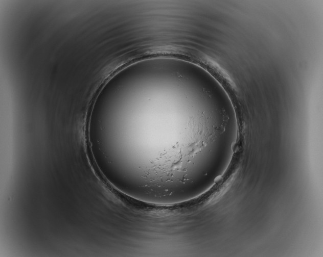 X0000093471033200710121421