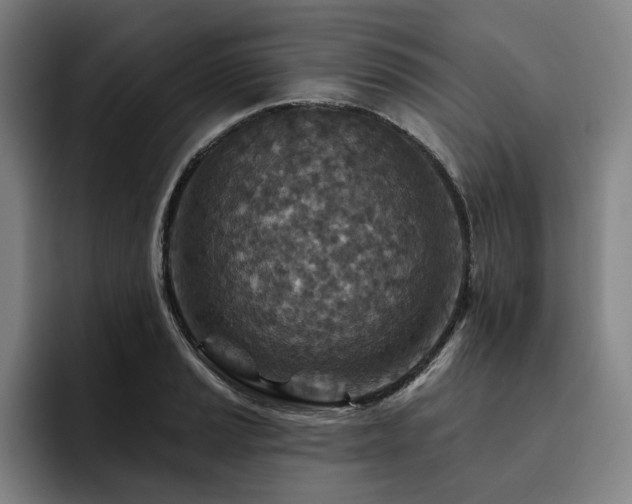 X0000093471037200710121421