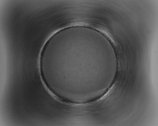 X0000093471038200710121421