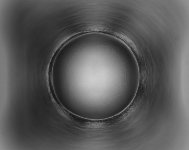 X0000093471039200710121421