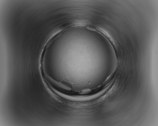 X0000093471042200710121421