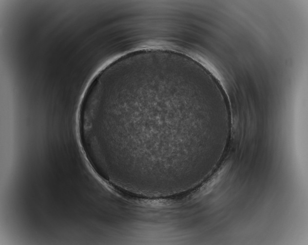 X0000093471045200710121421