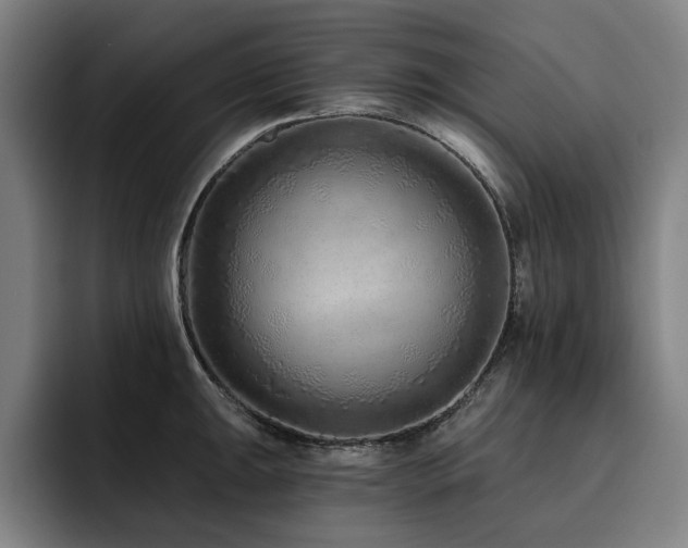 X0000093471047200710121421