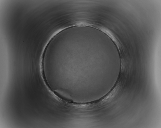 X0000093471048200710121421