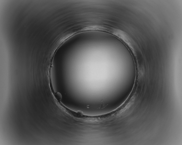 X0000093471049200710121421