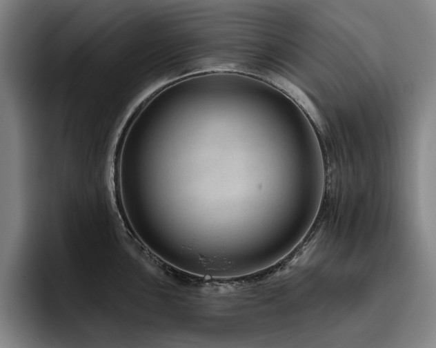 X0000093471051200710121421