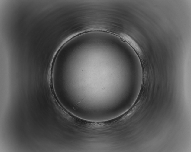 X0000093471052200710121421