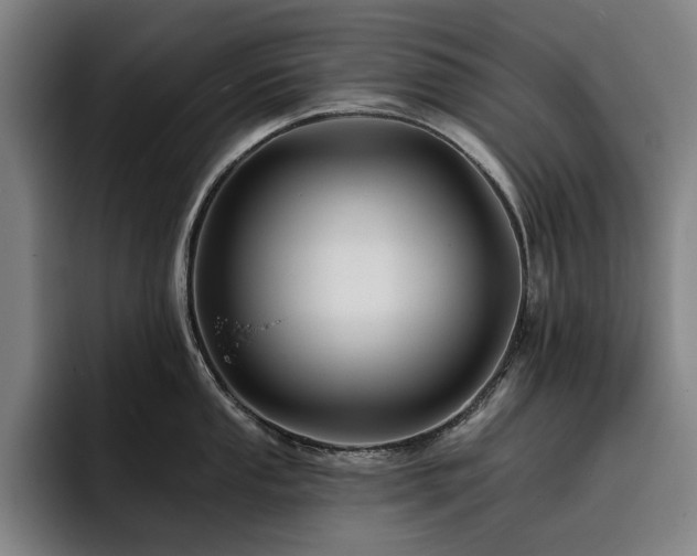 X0000093471053200710121421