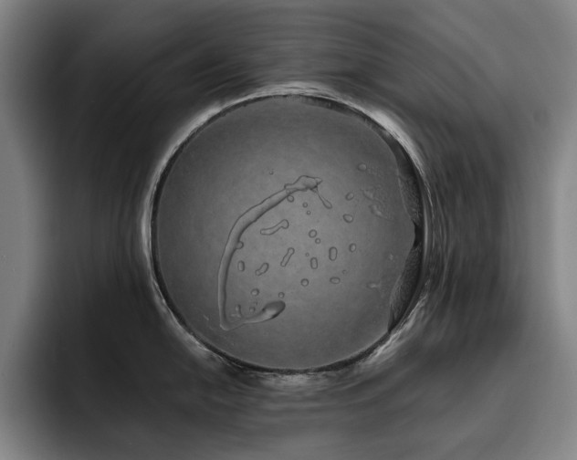 X0000093471054200710121421