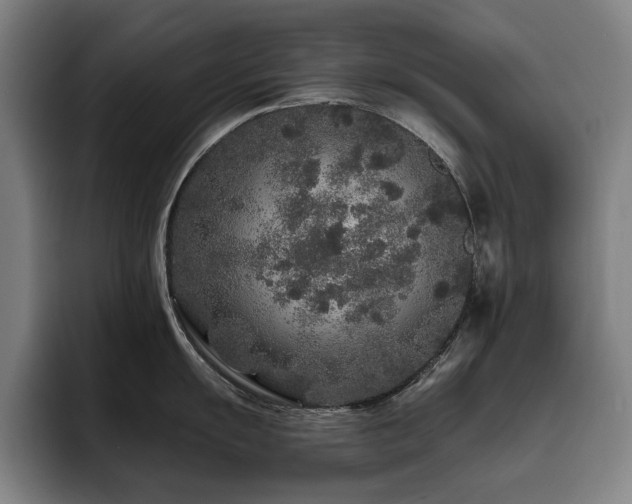 X0000093471055200710121421