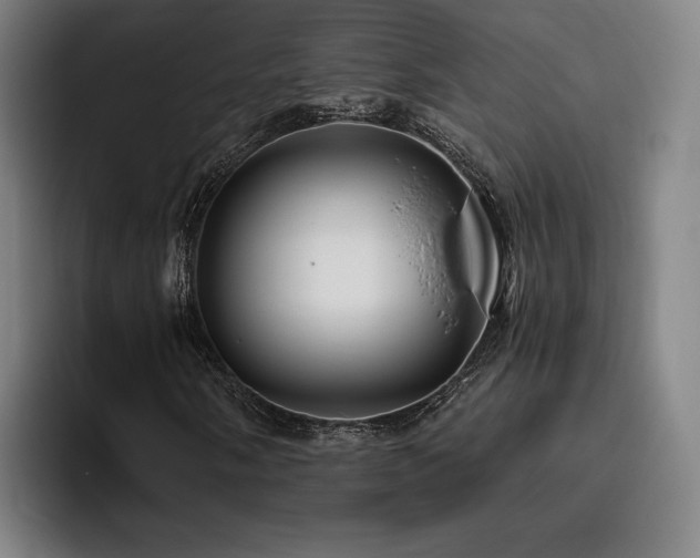 X0000093471058200710121421