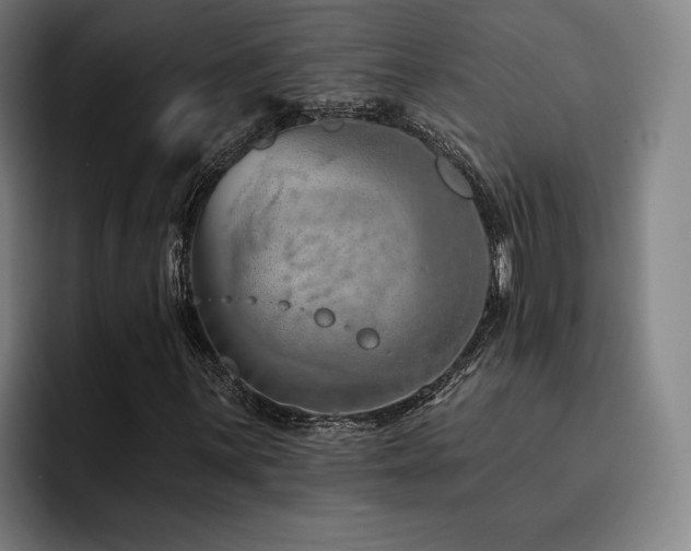 X0000093471059200710121421