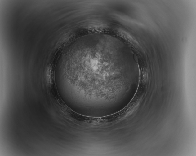 X0000093471060200710121421