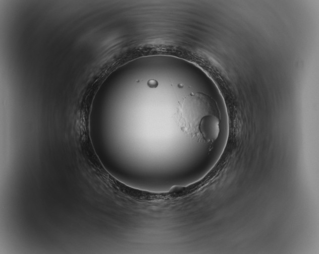 X0000093471062200710121420