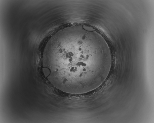 X0000093471063200710121420