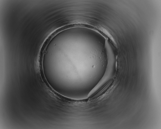 X0000093471068200710121420