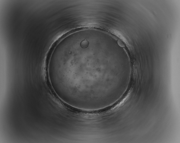 X0000093471071200710121420