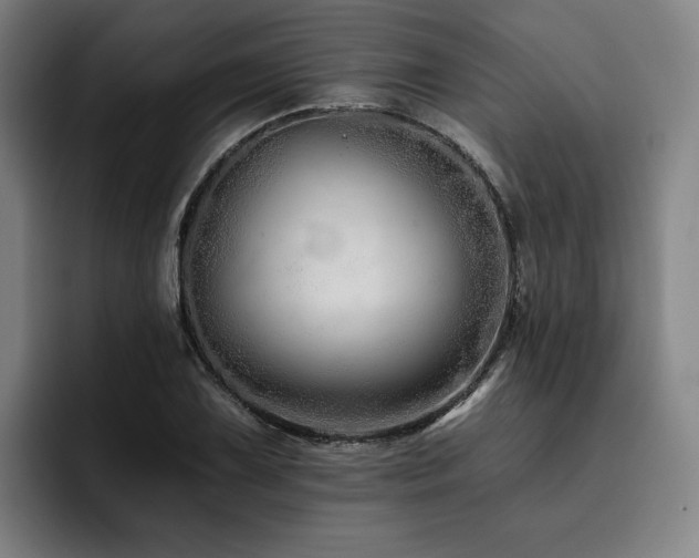 X0000093471075200710121420