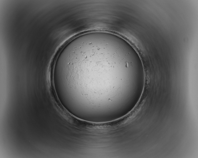 X0000093471078200710121420