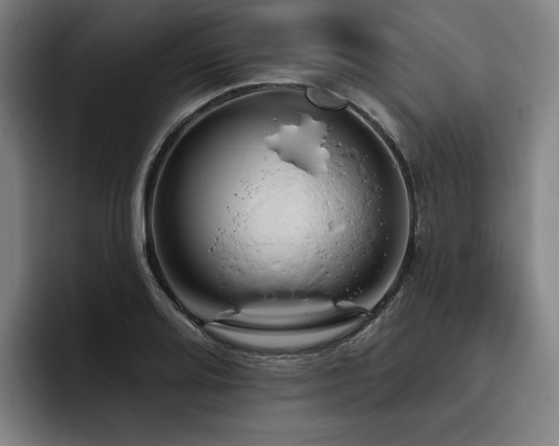 X0000093471080200710121420