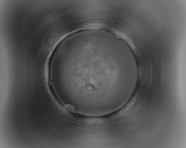 X0000093471083200710121420