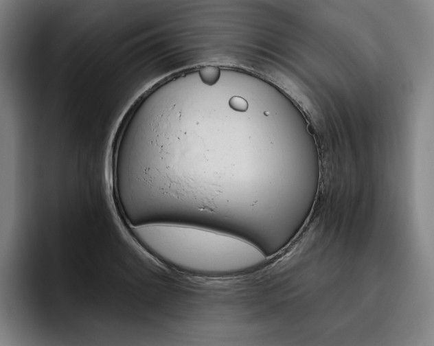 X0000093471084200710121420