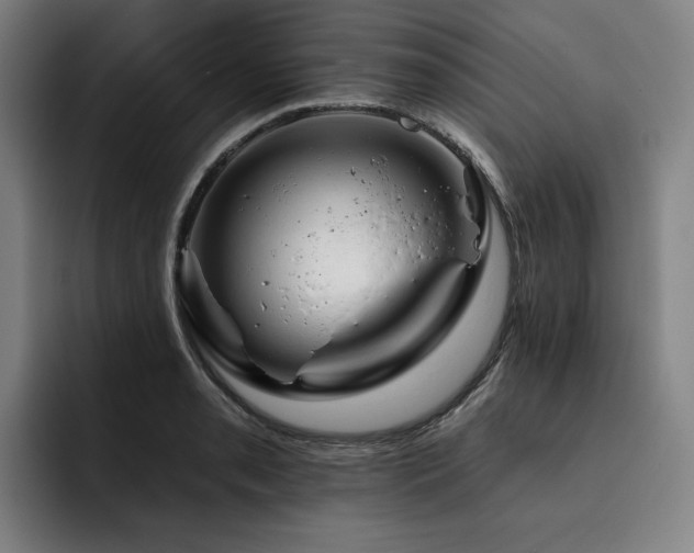 X0000093471085200710121420