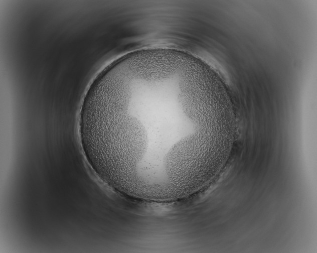 X0000093471086200710121420