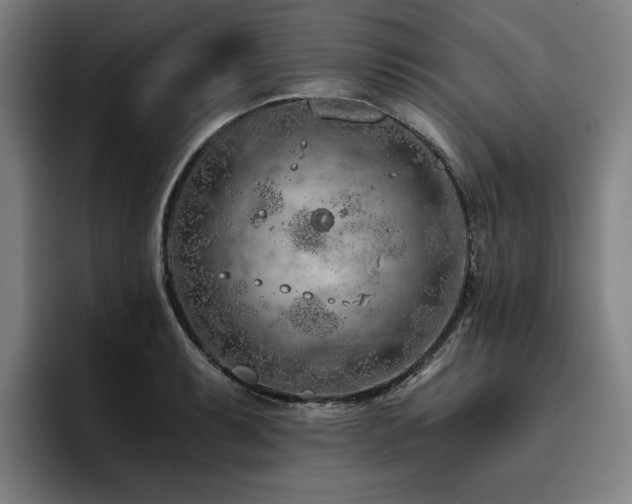 X0000093471087200710121420