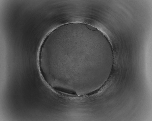 X0000093471088200710121420