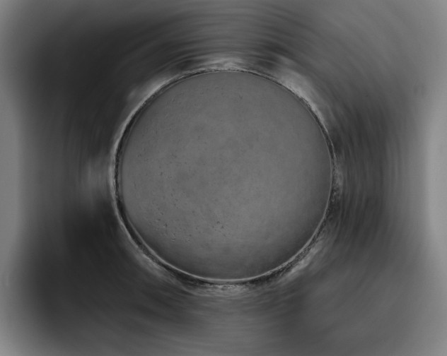 X0000093471090200710121420