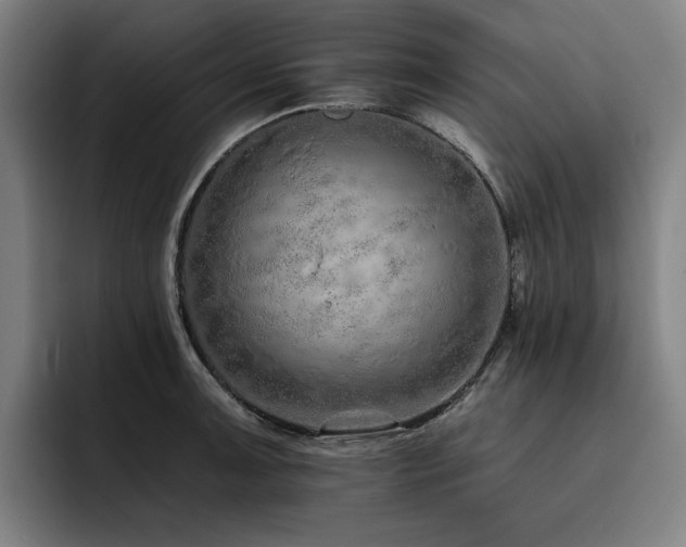 X0000093471091200710121420