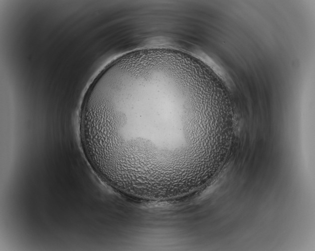 X0000093471094200710121420