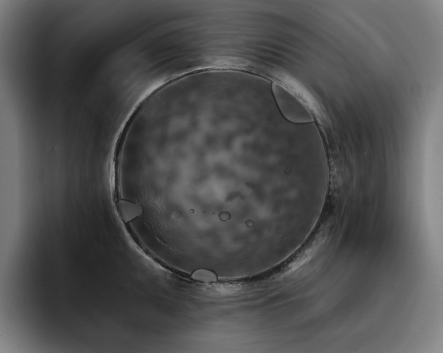 X0000093471095200710121420
