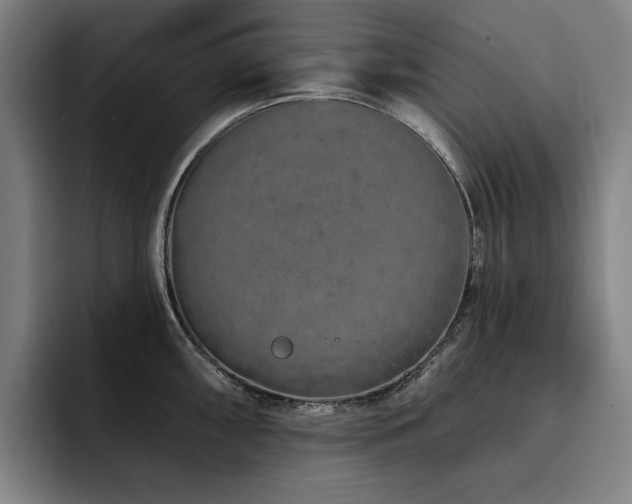 X0000093471098200710121420