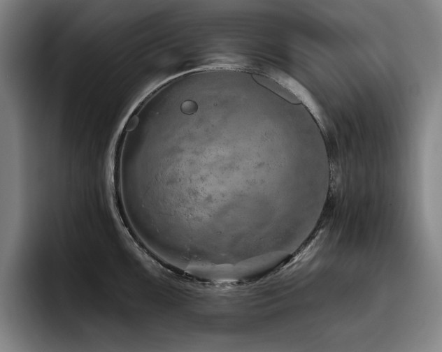 X0000093471099200710121420
