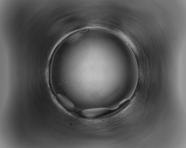 X0000093471100200710121420