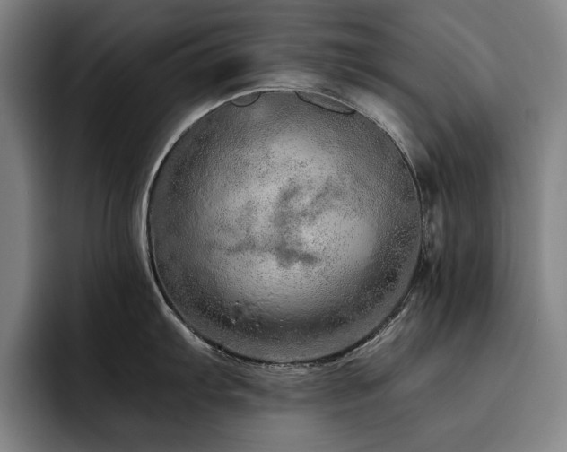 X0000093471103200710121420