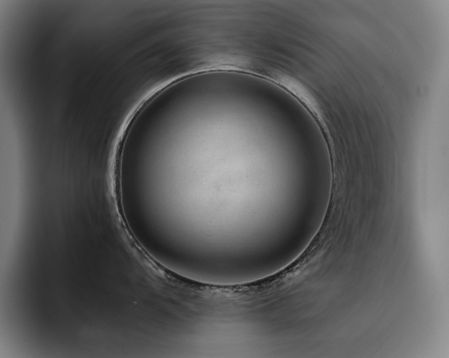 X0000093471104200710121420
