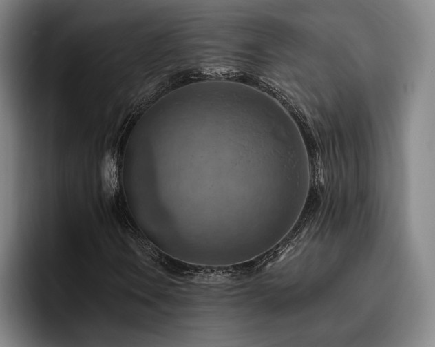 X0000093471106200710121419