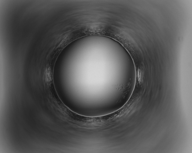 X0000093471107200710121419