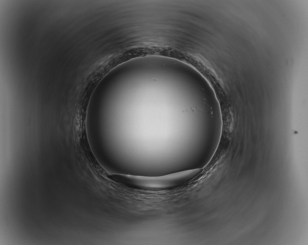 X0000093471110200710121420