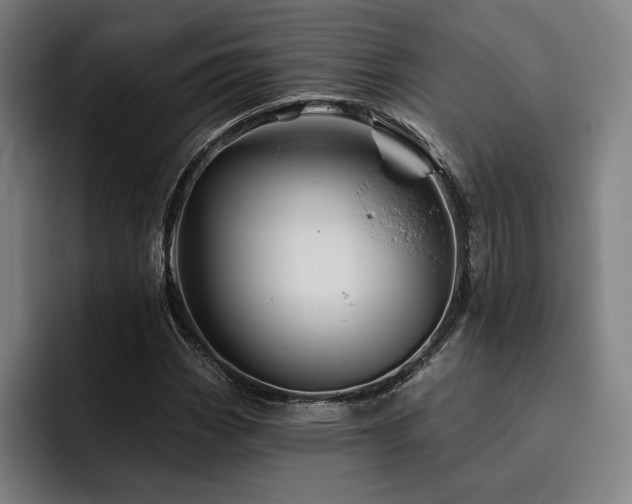 X0000093471113200710121420