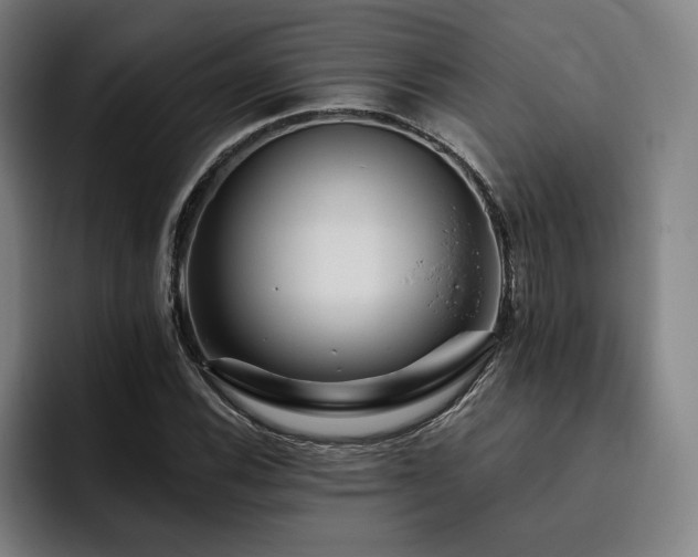 X0000093471116200710121420