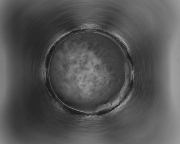 X0000093471117200710121420