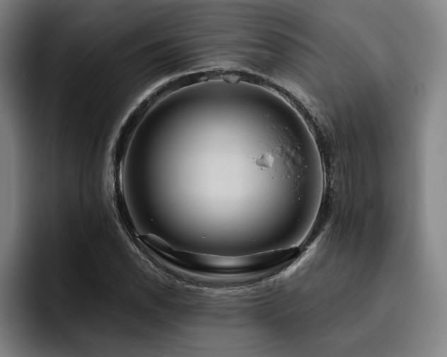 X0000093471118200710121420